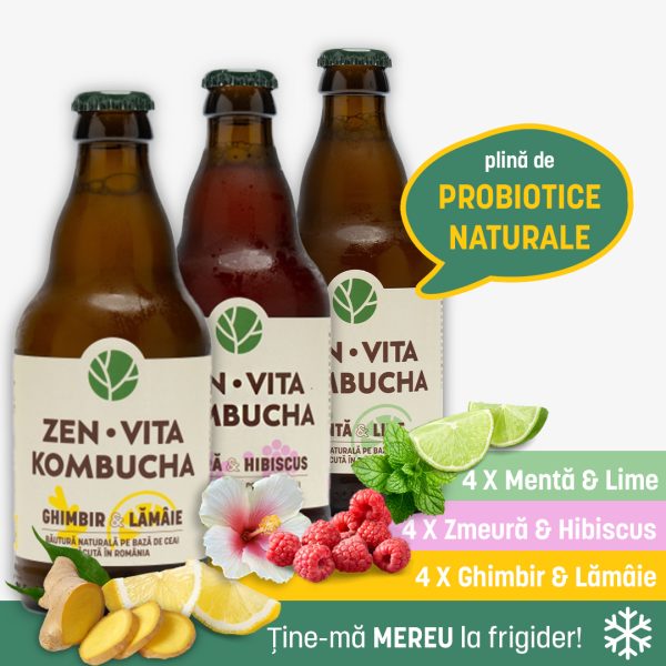 ZENVITA KOMBUCHA x 12 sticle 330 ml - mix 3 arome