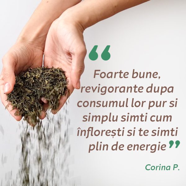 ZENVITA KOMBUCHA x 12 sticle 330 ml - mix 3 arome