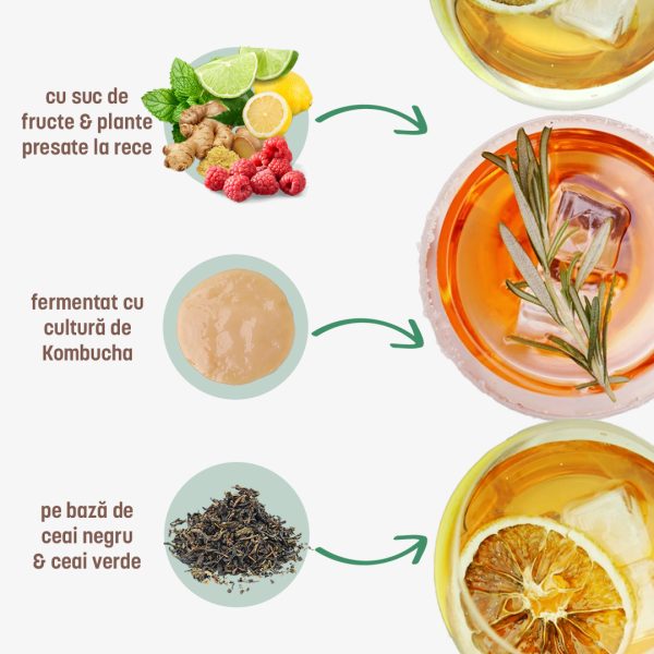 ZENVITA KOMBUCHA x 12 sticle 330 ml - mix 3 arome